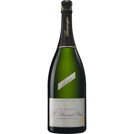 Brut Millésimé 2009 Blanc de Blancs - Magnum